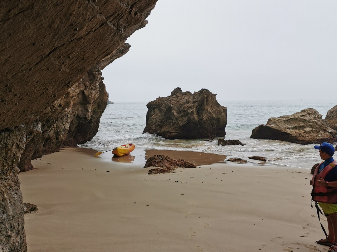 OurRoots-塞新布拉必去景点