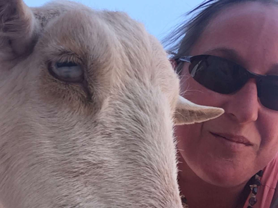 Rooster Cogburn Ostrich Ranch-Eloy必去景点