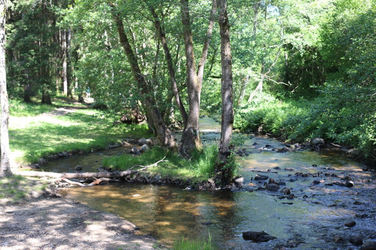 Confluence de la Cure et du Caillot-Gouloux必去景点