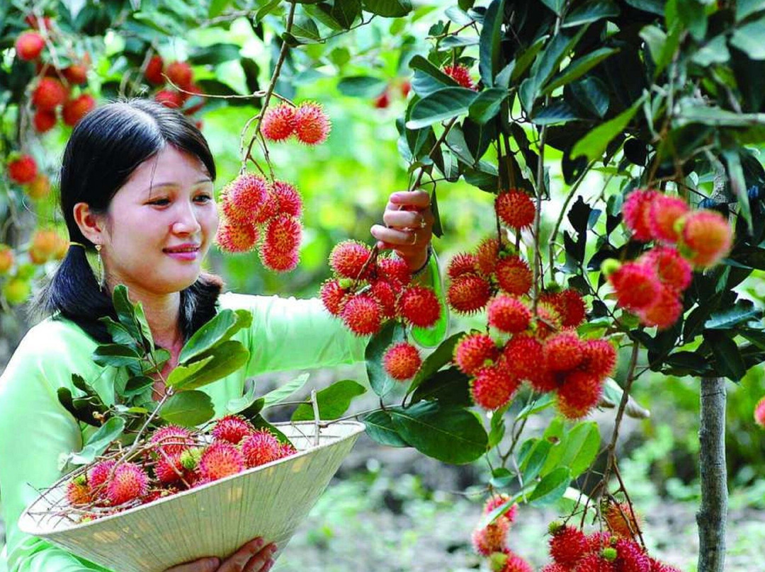 Coco Happy Farm: Authentic Mekong Farmstay, Bike Tour & River Cruise-Ben Tre必去景点
