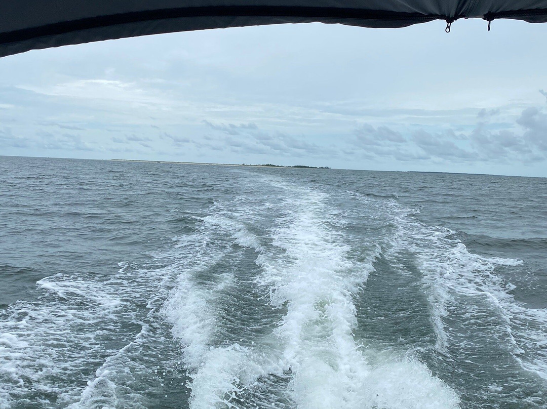 Gunner Pontoon Rentals景点图片