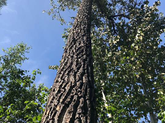 Drifters Lodge Fishing and Activities-Cooper Landing必去景点