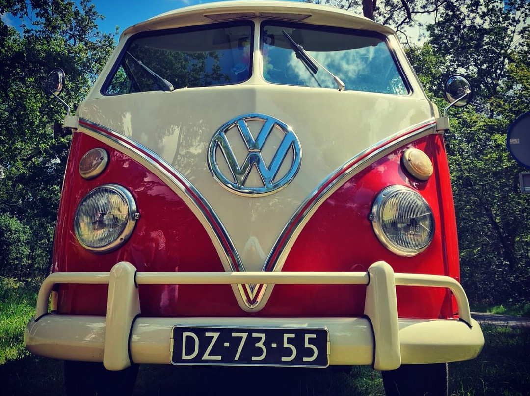 Vintage Volkswagen Verhuur景点图片