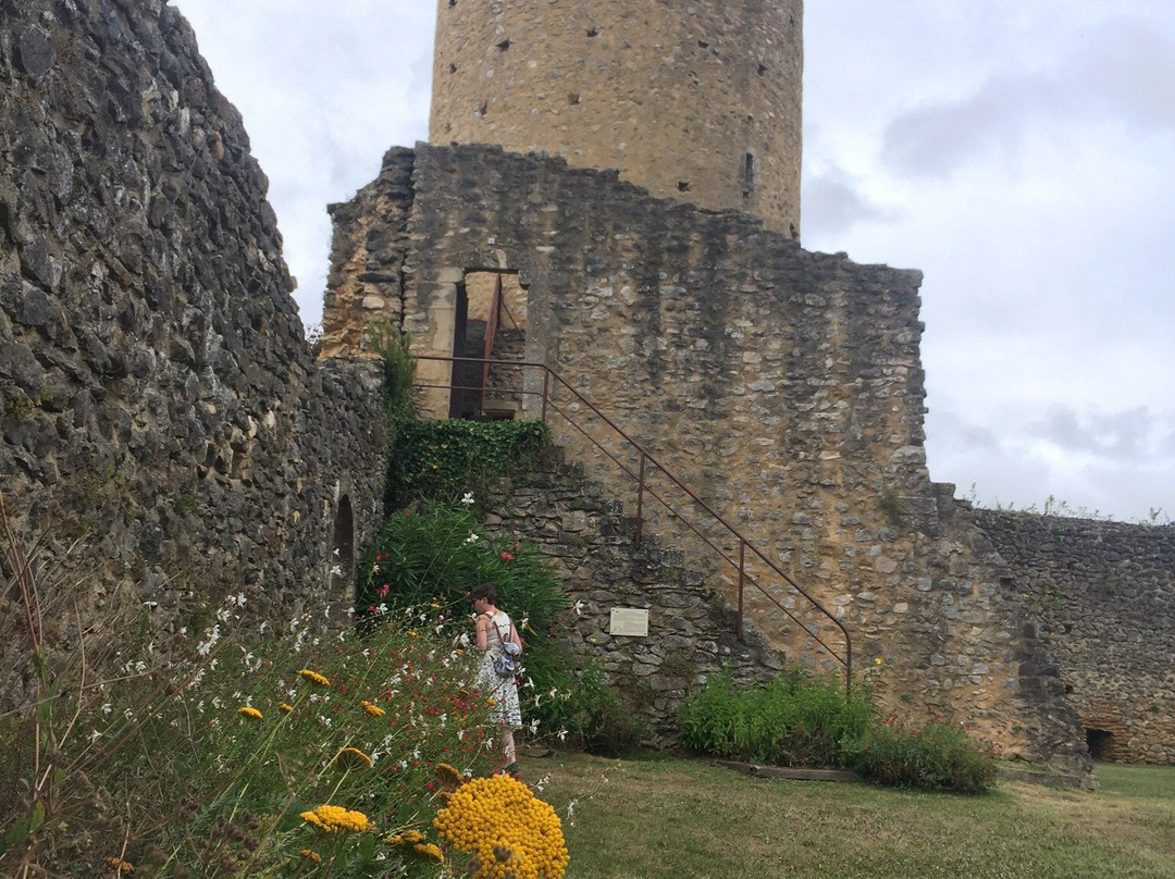 Chateau Comtal et Donjon d’Aurignac景点图片
