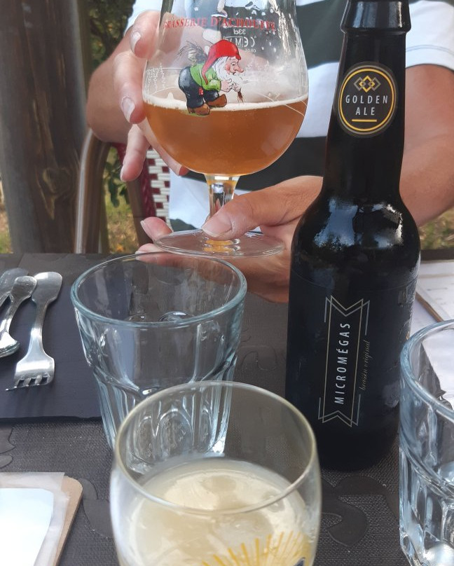 Logis Hôtel Linça主图