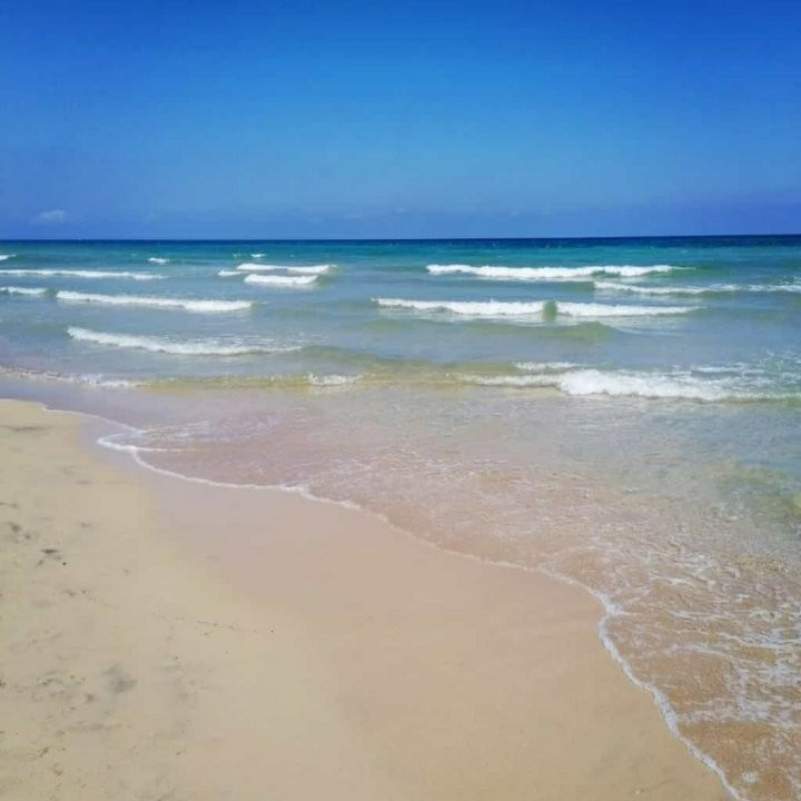Spiaggia Torre Canne景点图片