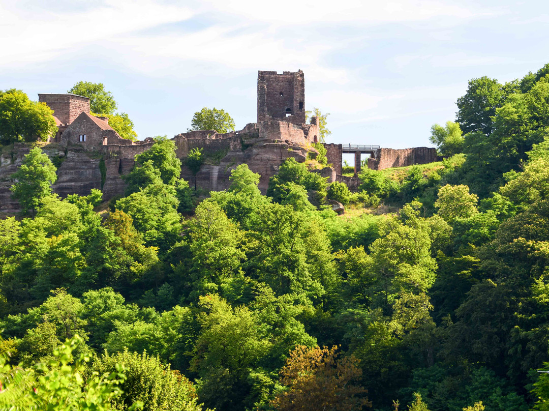 Chateau de Lutzelbourg景点图片