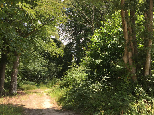 Angley Wood-Cranbrook必去景点