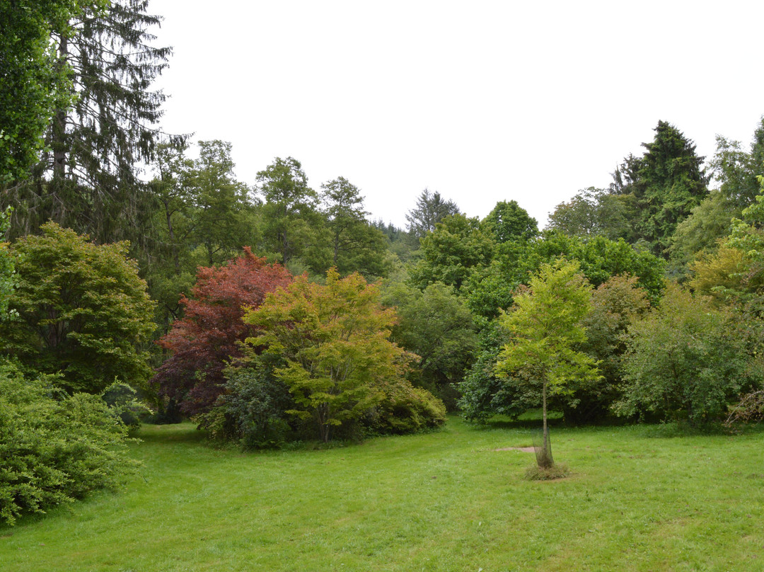Arboretum Robert Lenoir景点图片