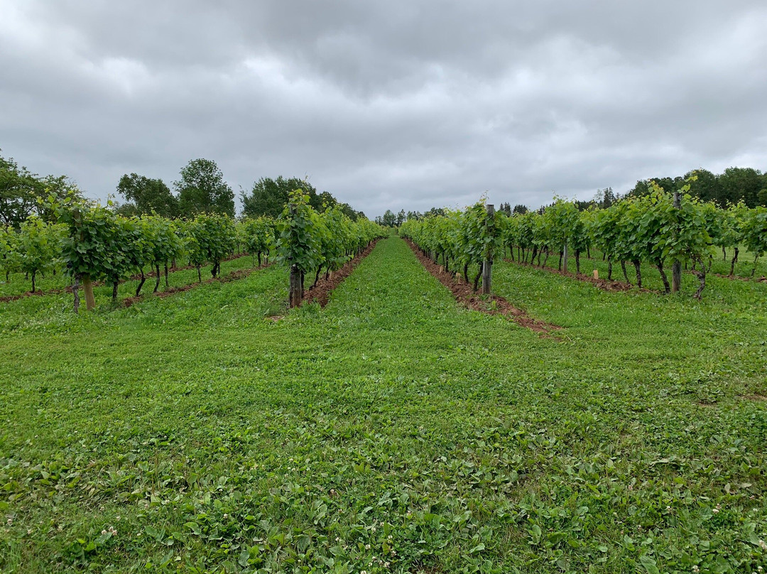 Jost Vineyards-Malagash必去景点
