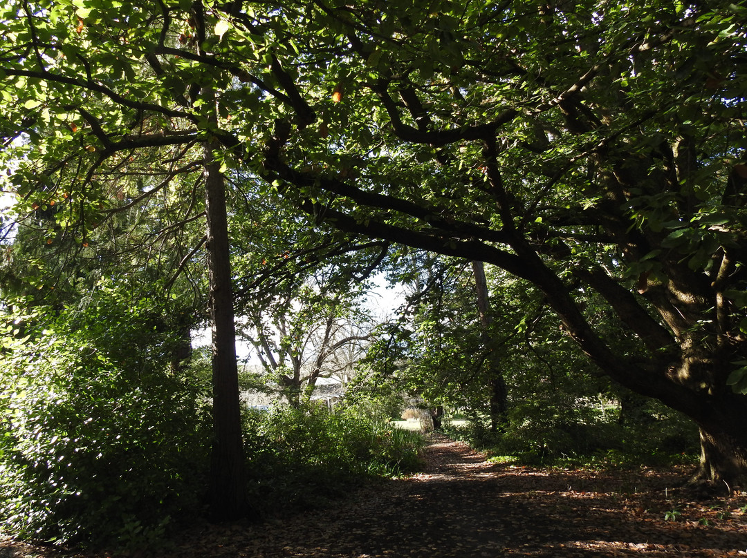 Braeside Mt Macedon Country Retreat and Bed & Breakfast主图