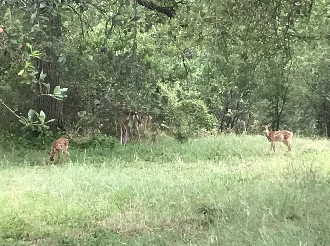 Sage Hill Inn & Spa主图