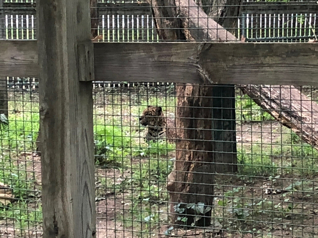 The Zoo in Forest Park & Education Center-斯普林菲尔德必去景点
