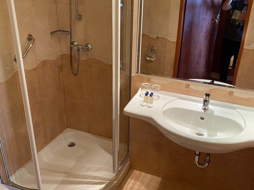 比亚韦斯托克格莱毕维基酒店主图