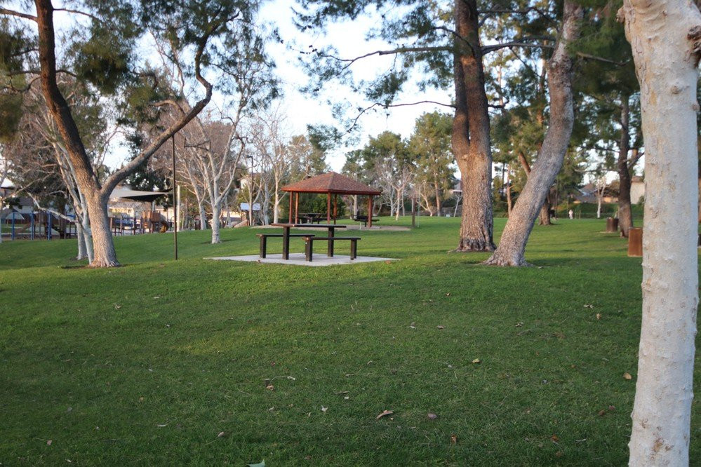 Mountain View Park-莱克福里斯特必去景点