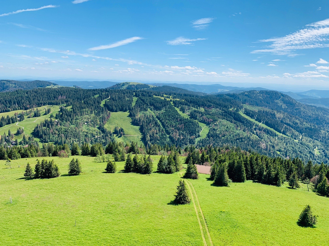 Feldbergturm-菲尔德山必去景点