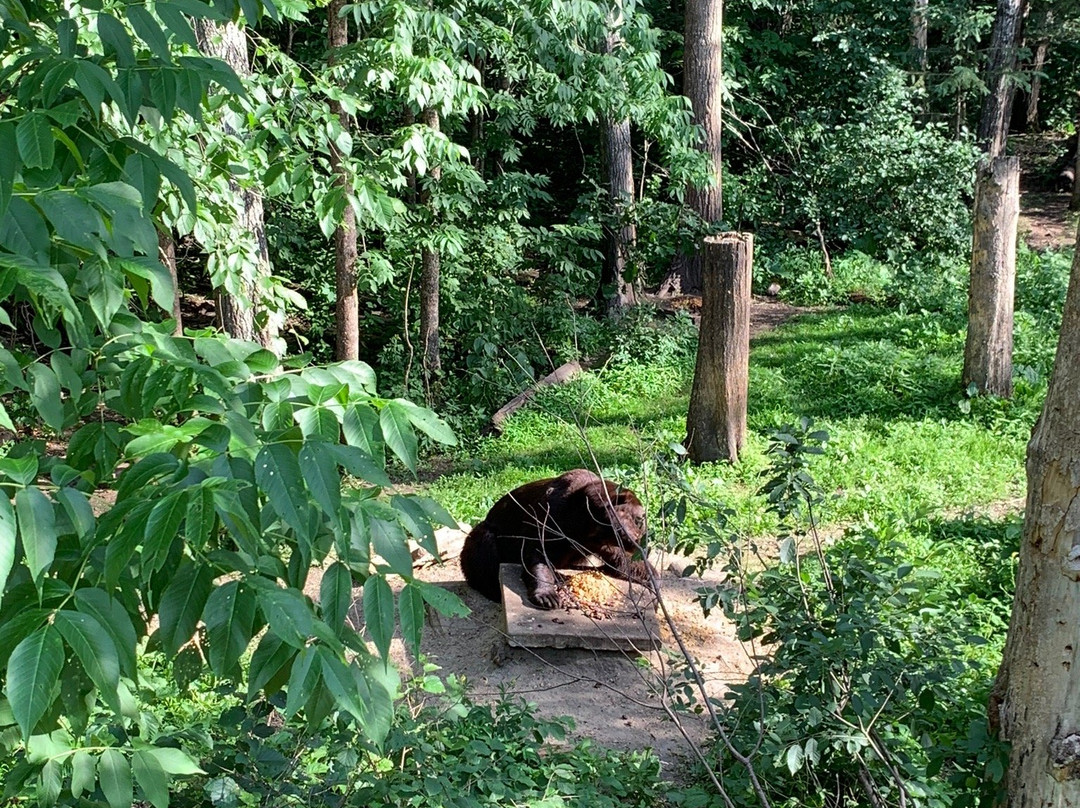 Vince Shute Wildlife Sanctuary景点图片