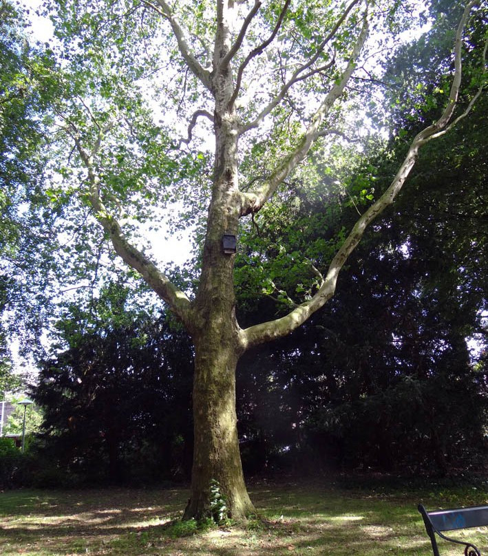 Park Oog in Al-乌特勒支必去景点
