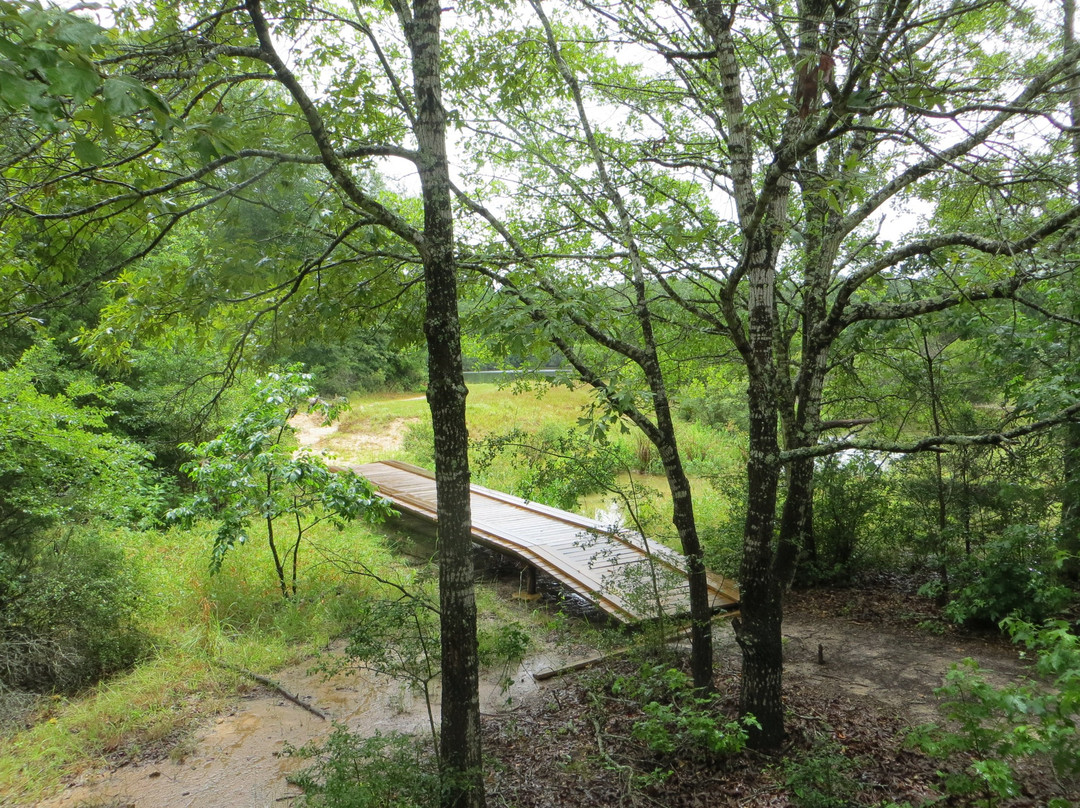 Fort Boggy State Park-Centerville必去景点