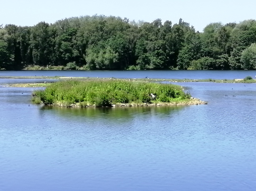 Sevenoaks Wildlife Reserve-Sevenoaks必去景点