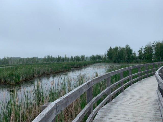 Sackville Waterfowl Park景点图片