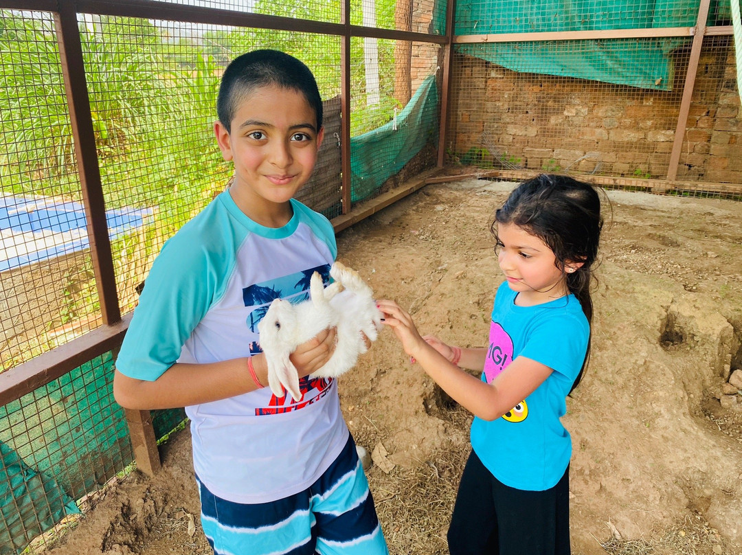 Vananchal Resort主图