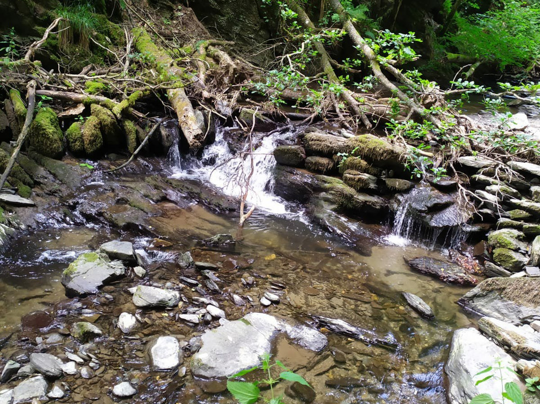 Erlebnisweg Tal der Wilden Endert-科赫姆必去景点