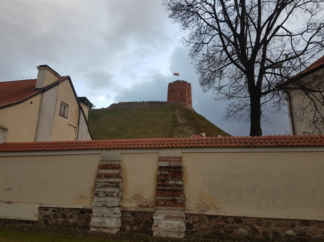 National Museum of Lithuania-维尔纽斯必去景点