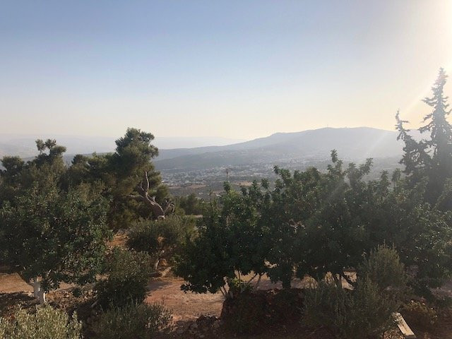 橄榄枝酒店主图