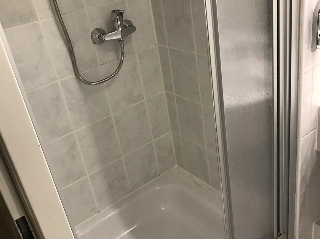 Schwarzer Adler主图