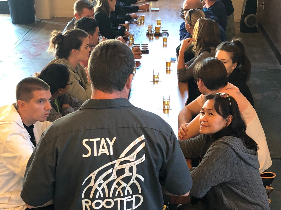 Walking Tree Brewery-维罗海滩必去景点