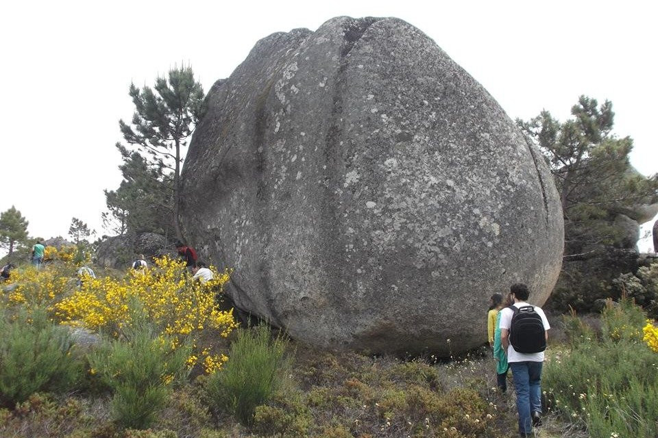 Lourical旅游攻略图片