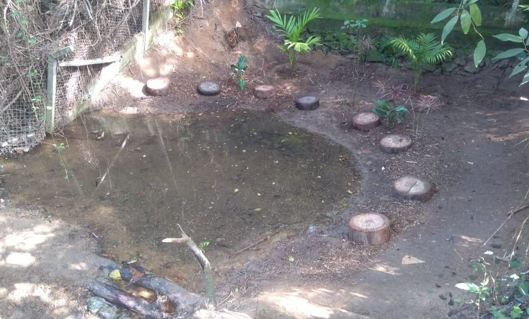 Parque Natural Municipal da Água Vermelha João Câncio Pereira-索罗卡巴必去景点