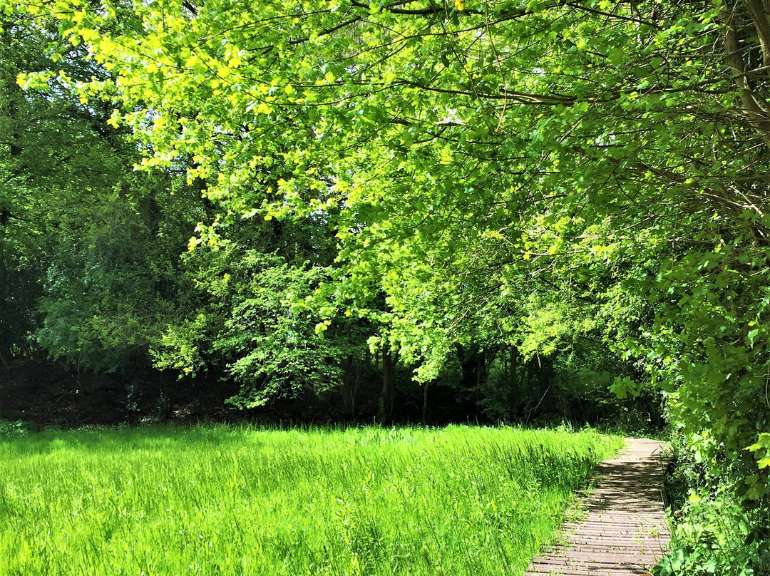 Crane Valley Local Nature Reserve景点图片