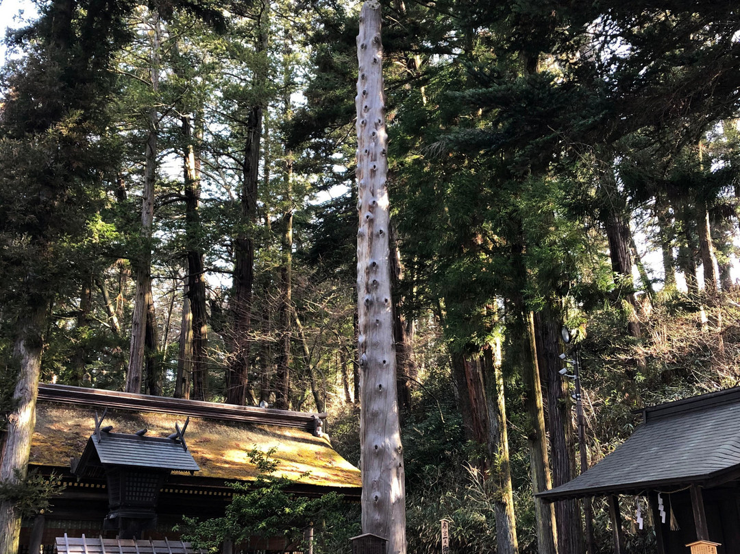 Suwa Taisha Shimosha Harumiya景点图片