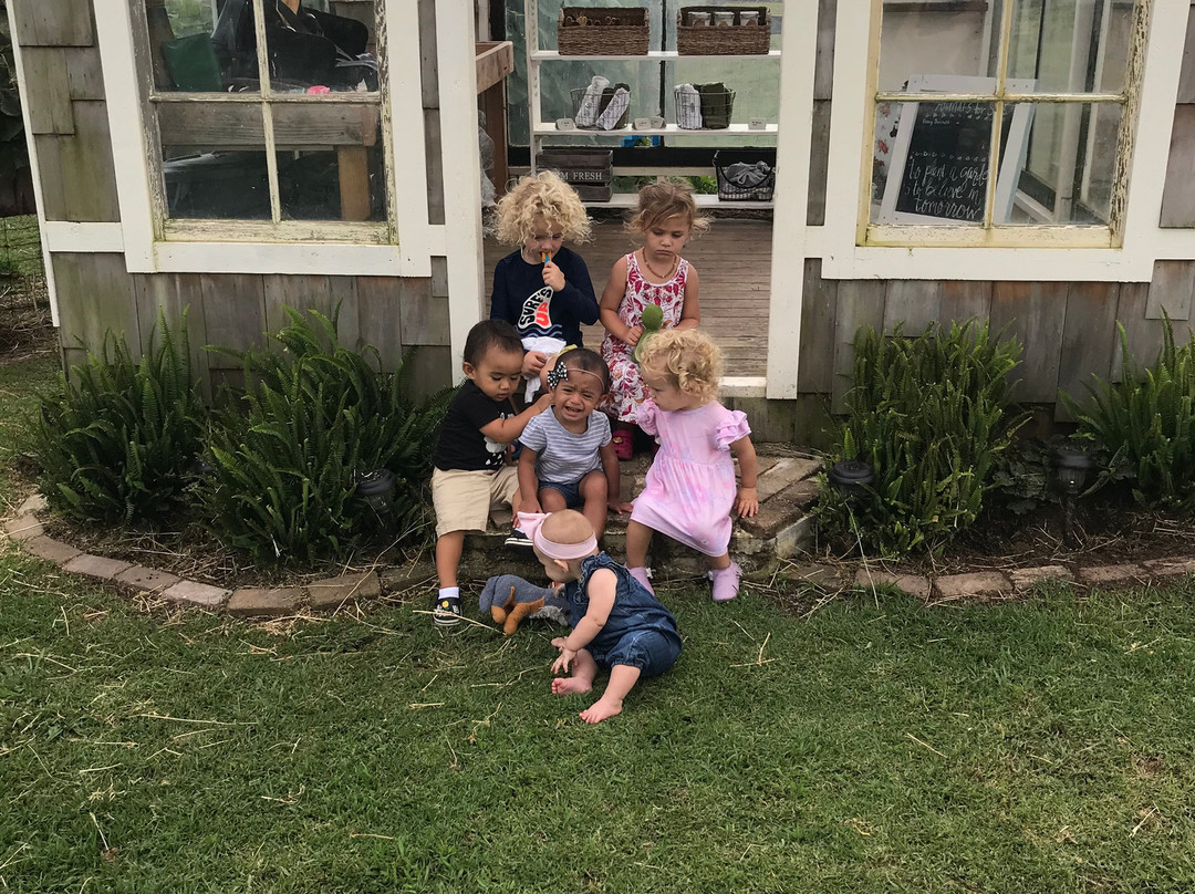 The Lili House Farm-火山必去景点