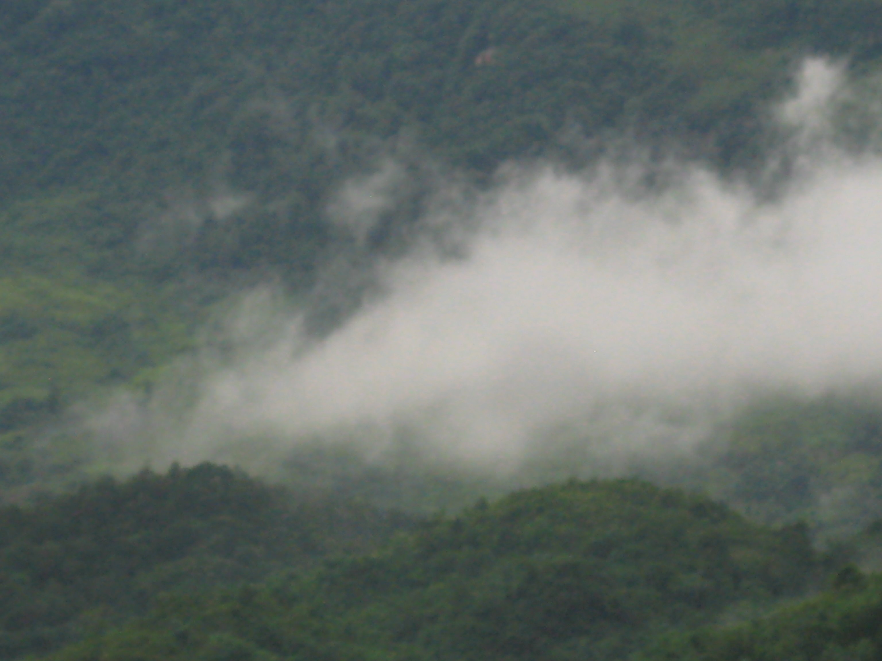 Mai Chau Home-酒店景观