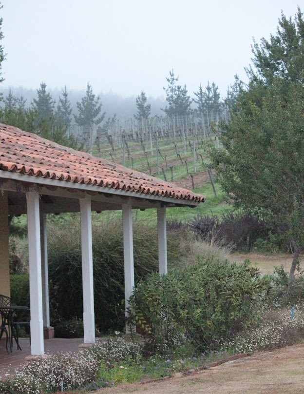 Matetic Vineyards-Lagunillas必去景点