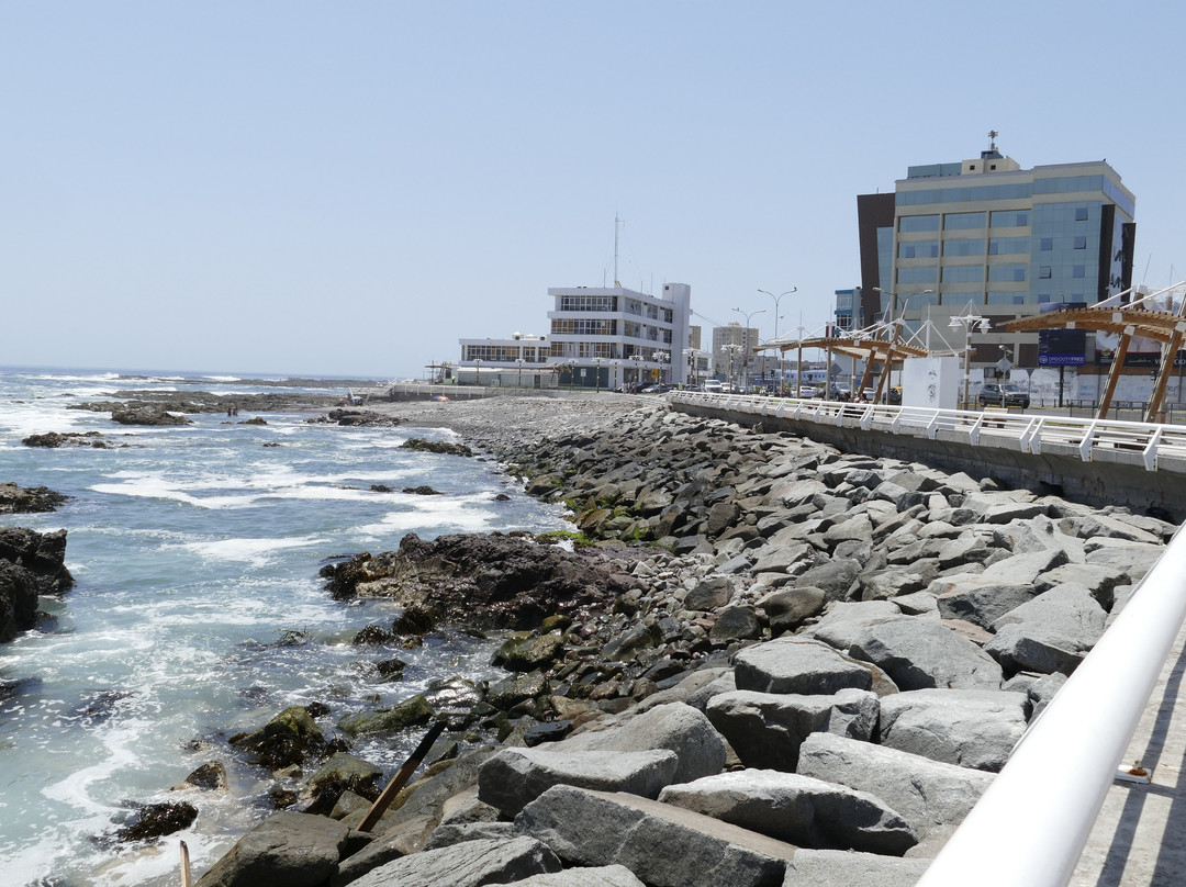 Paseo Peatonal Cavancha-伊基克必去景点