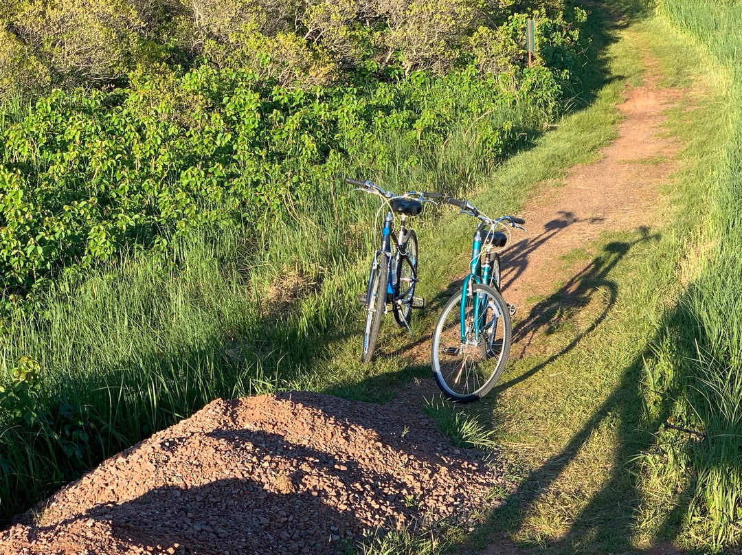 Prince Edward Island National Park景点图片