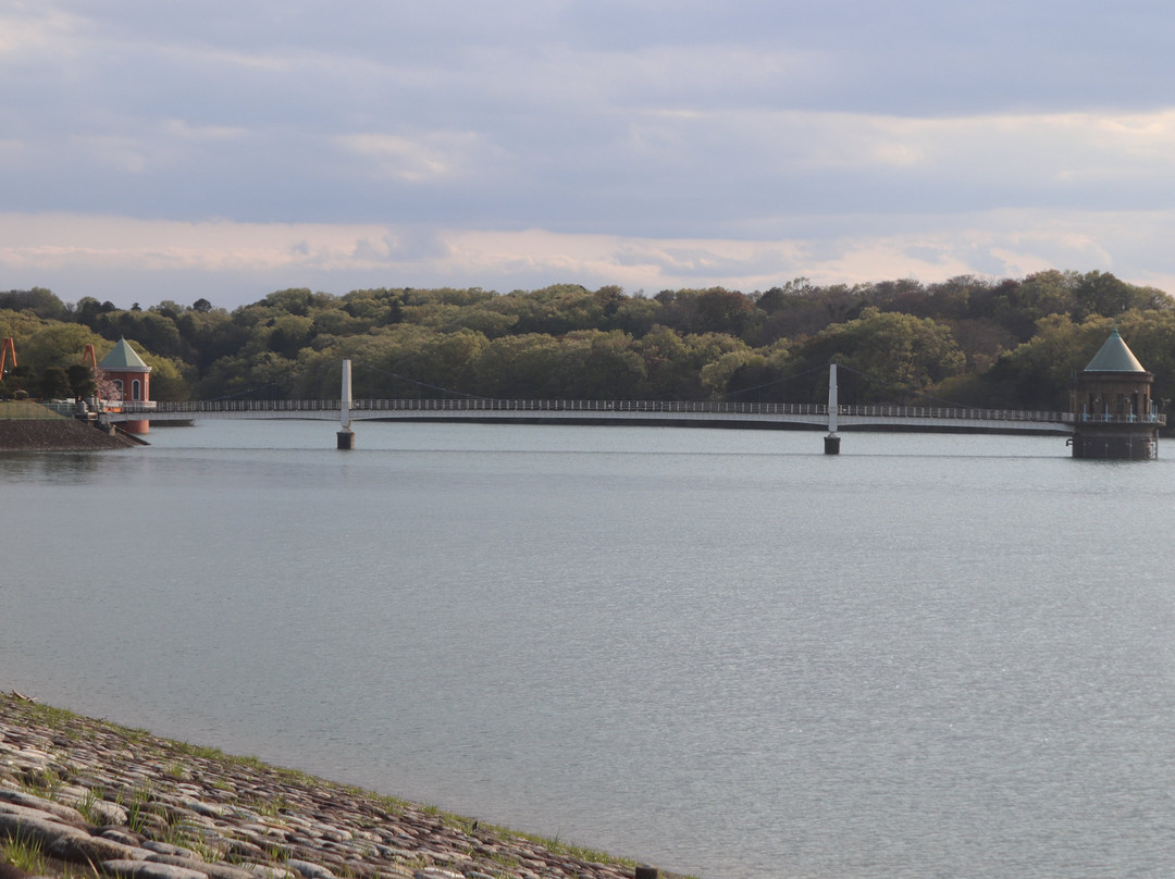 Sayama Prefectural Nature Park-所泽市必去景点