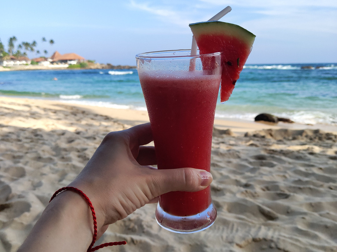 Coconut Palm Guesthouse主图