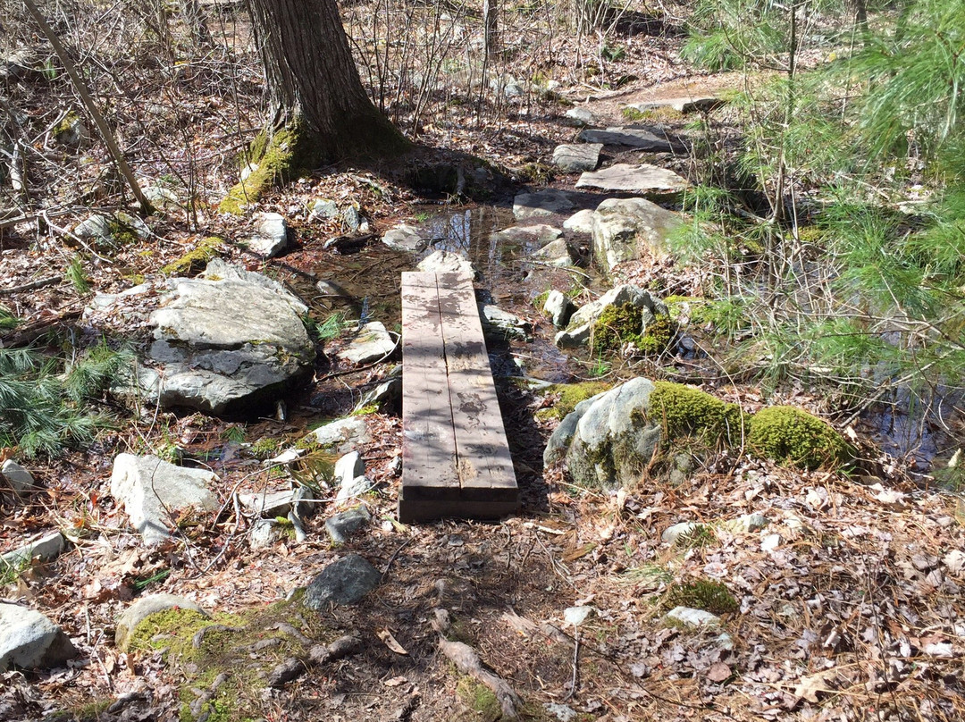 Caratunk Wildlife Refuge-Seekonk必去景点