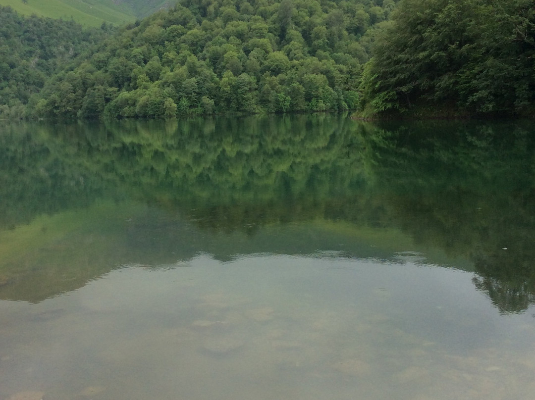 Lake Maralgol景点图片
