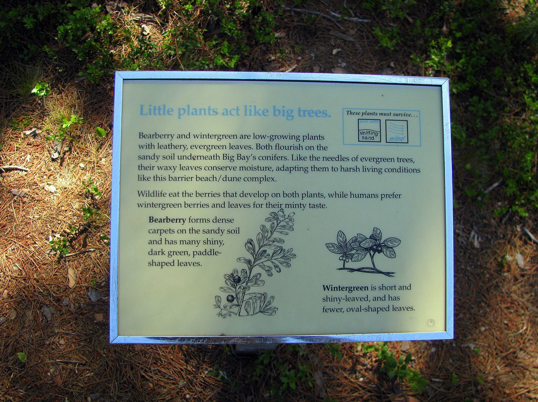 Big Bay State Park景点图片