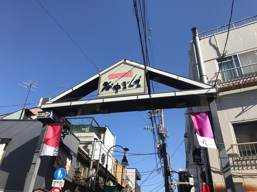 Yanaka Ginza Shopping Street景点图片