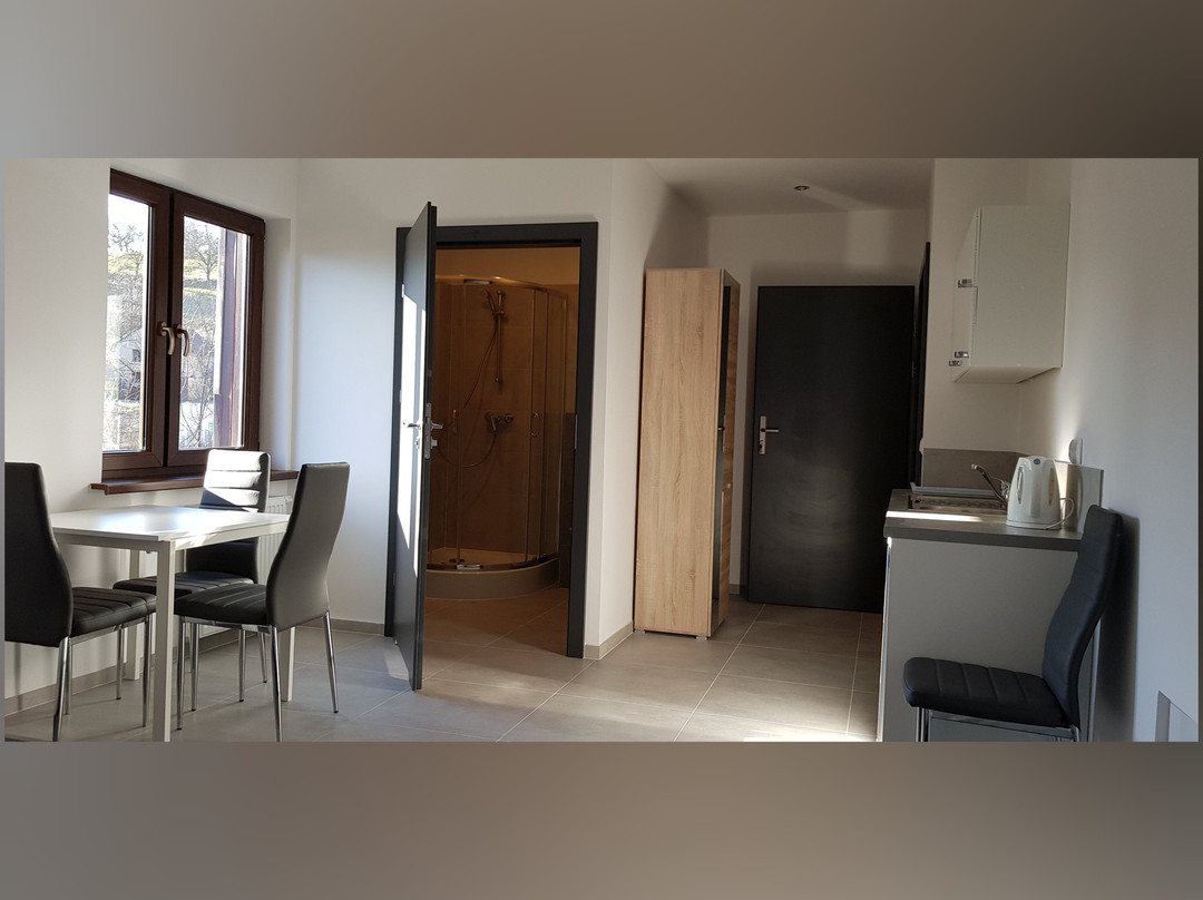 Stary Sacz酒店住宿-Willa Lawenda