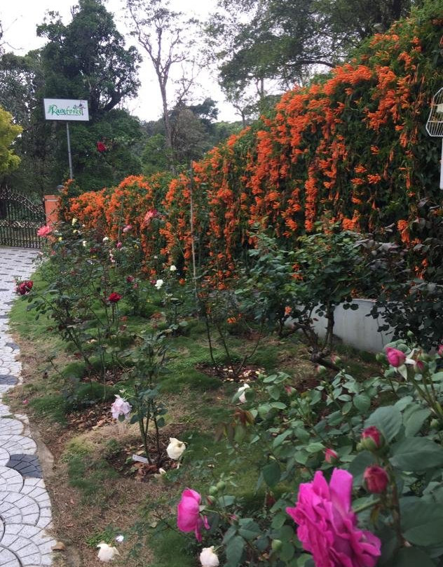 Rainforest Munnar Resort主图