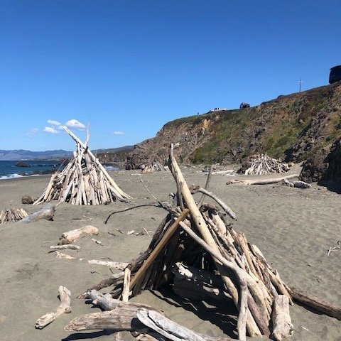 Sonoma Coast State Beach - Salmon Creek景点图片