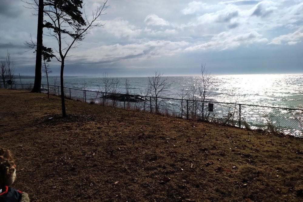 Lakeview Park-奥沙瓦必去景点